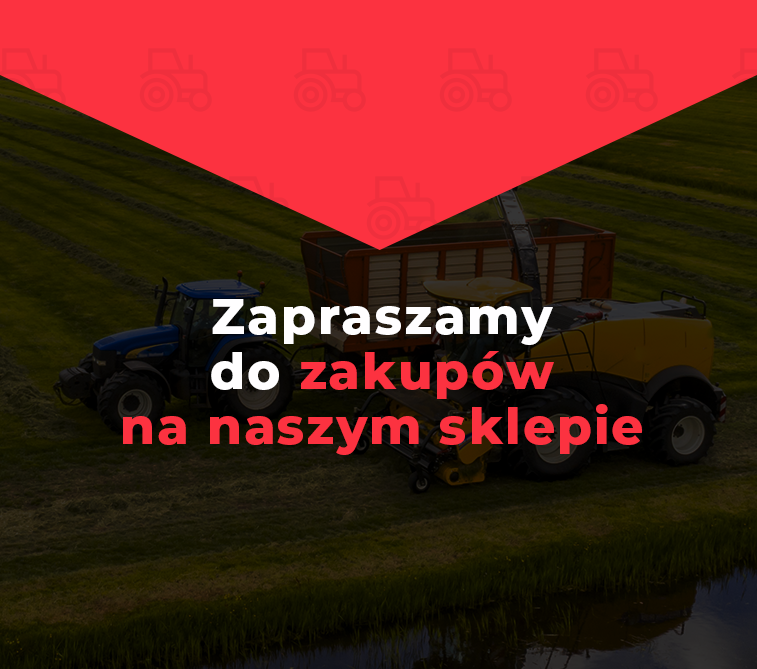 Zapraszamy do zakupów na naszym sklepie internetowym